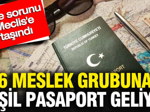 6 meslek grubuna yesil pasaport geliyor vize sorunu meclise tasindi QEmKdtj4.jpg