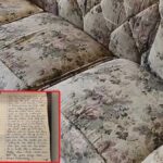 60 yil once tek tek olacaklari yazan kehanet mektubu bulundu bKZv8T8x.jpg