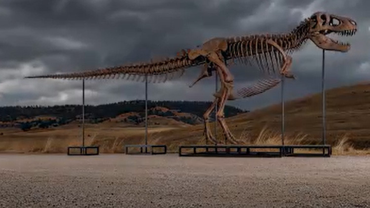 ABD’deki açık artırmada dinozor iskeletine rekor fiyat