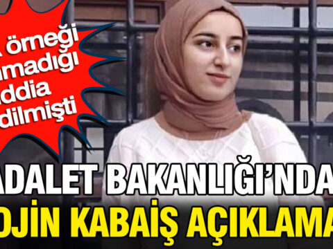 Adalet bakanligi rojin kabais sorusturmasindaki dna incelemesi iddialarini yalanladi a9vCXiaO.jpg