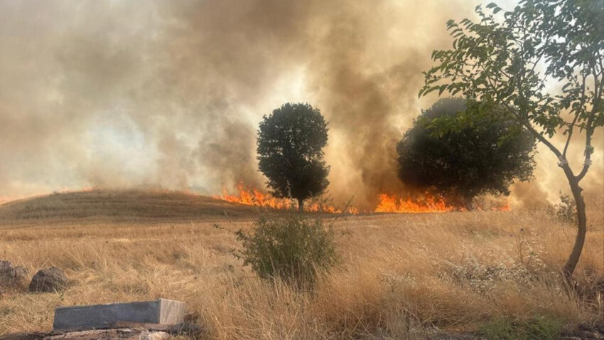 Adiyaman golbasinda trafo patlamasi yangin cikardi 1 hektarlik agaclik alan yandi cee8I4Y3.jpg