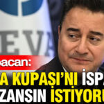 Ali babacan dunya kupasini ispanya kazansin istiyorum Kh1BydzM.jpg