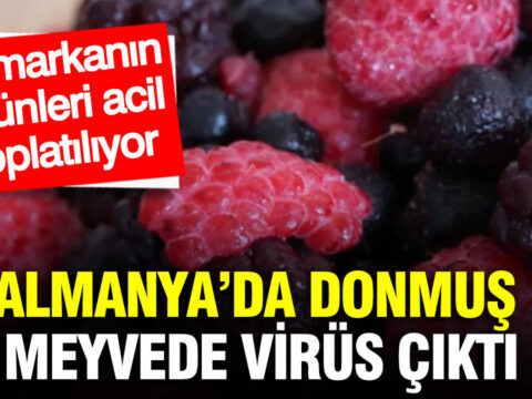 Almanyada donmus meyvede virus cikti o markanin urunleri acil toplatiliyor Swm219l2.jpg
