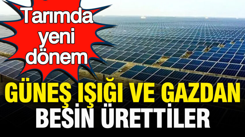 Almanyada gunes isigi ve gazdan besin urettiler tarimda yeni donem KcsQCWj7.jpg