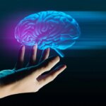 Alzheimer ve parkinson icin yeni umut insan beyin kokunun 3 boyutlu en detayli atlasi MRihGDNZ.jpg
