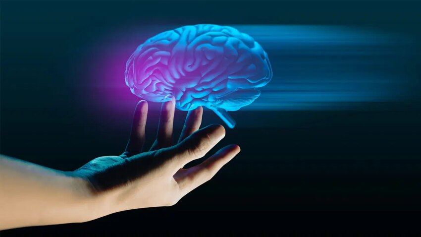 Alzheimer ve parkinson icin yeni umut insan beyin kokunun 3 boyutlu en detayli atlasi MRihGDNZ.jpg