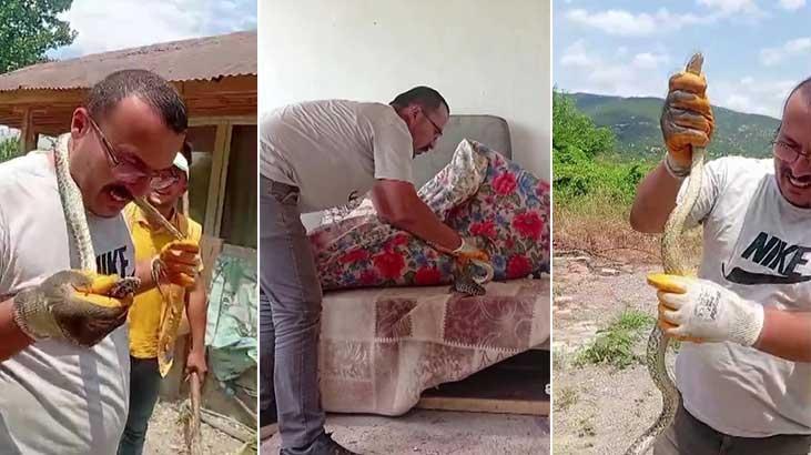 Amasyada evde yilan panigi yakaladi boynuna doladi r151Ry7S.jpg