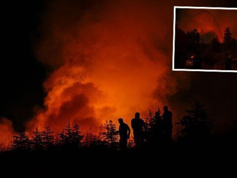 Ankarada korkutan yangin bos arazide yanan paletlere itfaiye mudahale ediyor N5nQpYsh.jpg