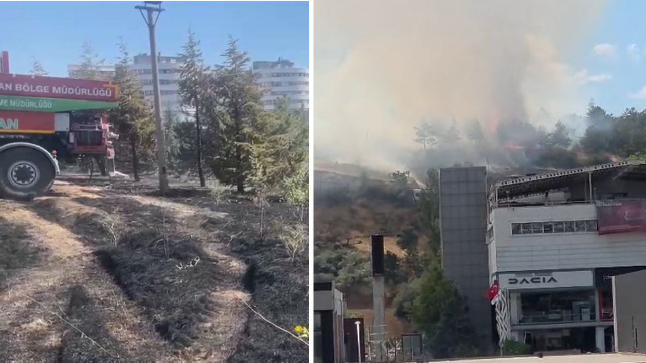 Ankara’da ODTÜ Ormanı’nda yangın