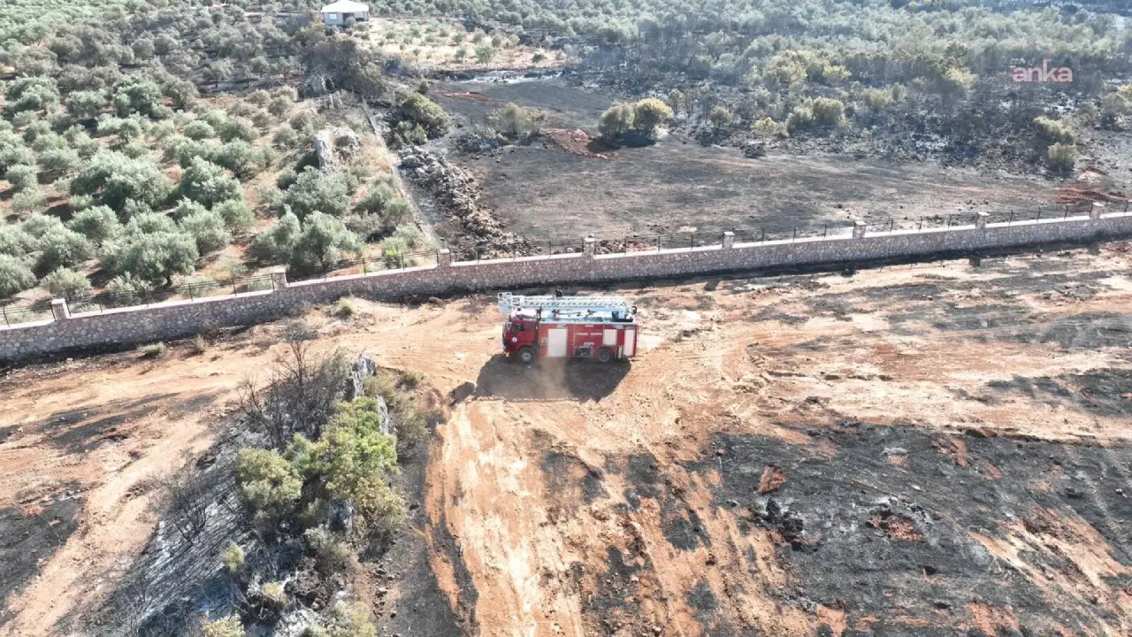 Antalya Kepez’deki orman yangını 4 saatte kontrol altına alındı