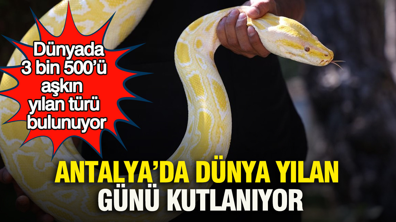 Antalya’da dünya yılan günü kutlanıyor: Dünyada 3 bin 500’ü aşkın yılan türü bulunuyor
