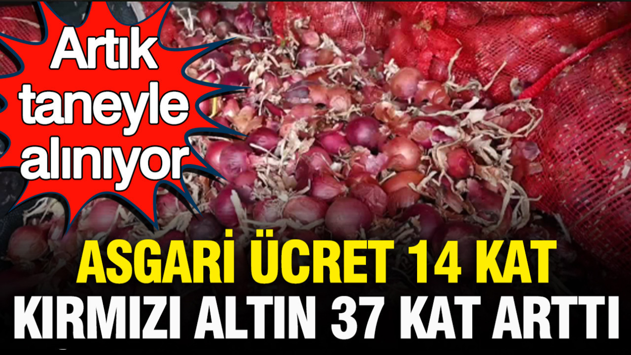 Artik taneyle aliniyor asgari ucret 14 kat kirmizi altinin fiyati 37 kat artti dLbVzJr3.jpg