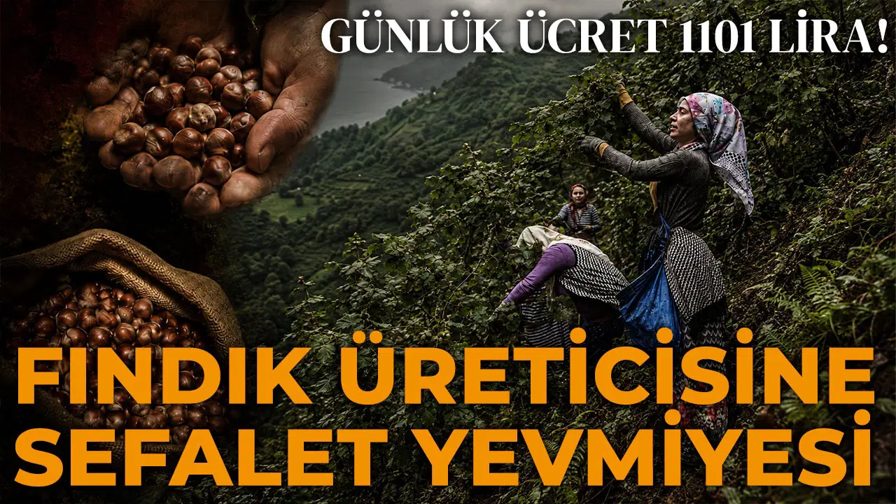 Avrupa 4 günlük mesaiyi tartışırken, Karadeniz’de emeğe biçilen değer! Sefalet yevmiyesi 1101 TL…