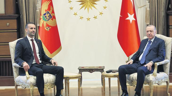 Avrupa sutunu guclenmeli vI9ks8eY.jpg