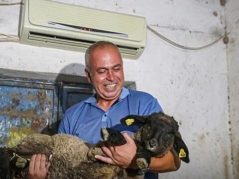 Avukatligi birakti hayvanci oldu ahira klima taktirdi nwMcOElO.jpg