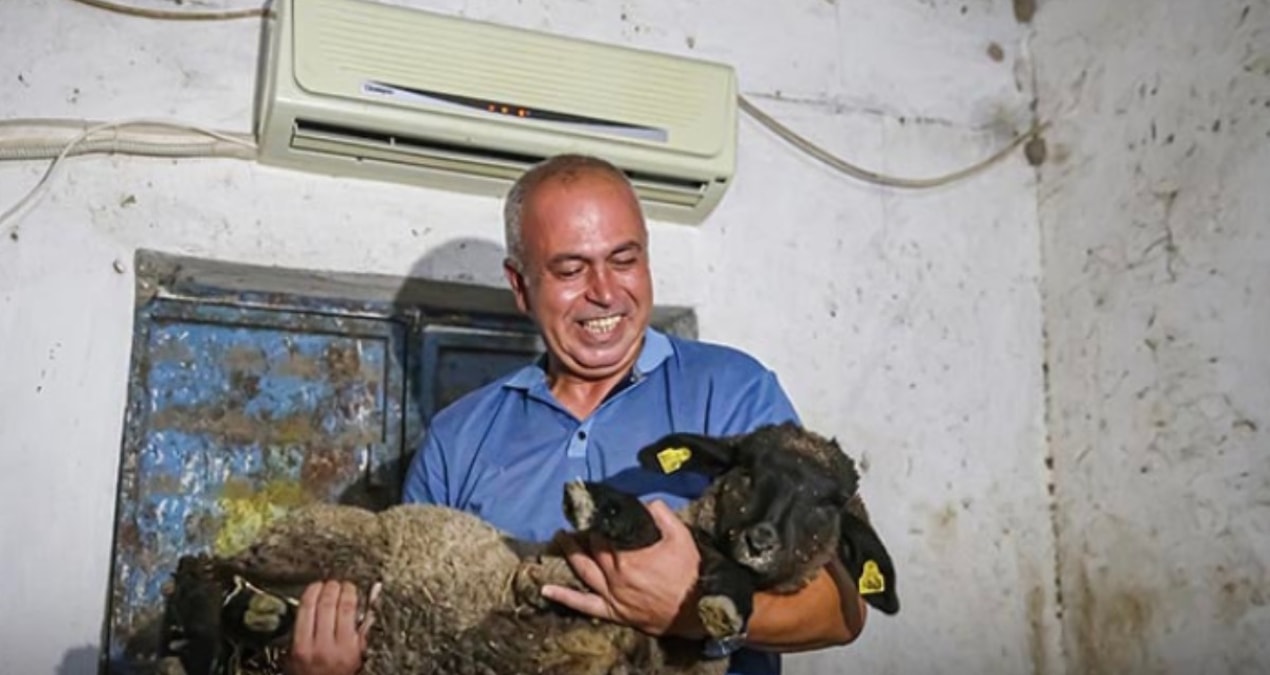 Avukatlığı bıraktı hayvancı oldu: Ahıra klima taktırdı