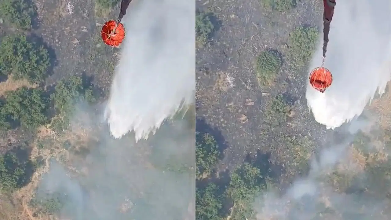 Aydın’da tarım arazisinde yangın