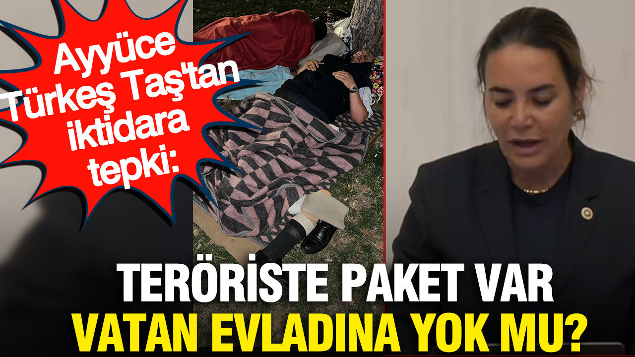 Ayyuce turkes tastan iktidara tepki teroriste paket var vatan evladina yok mu au6kWDyr.jpg