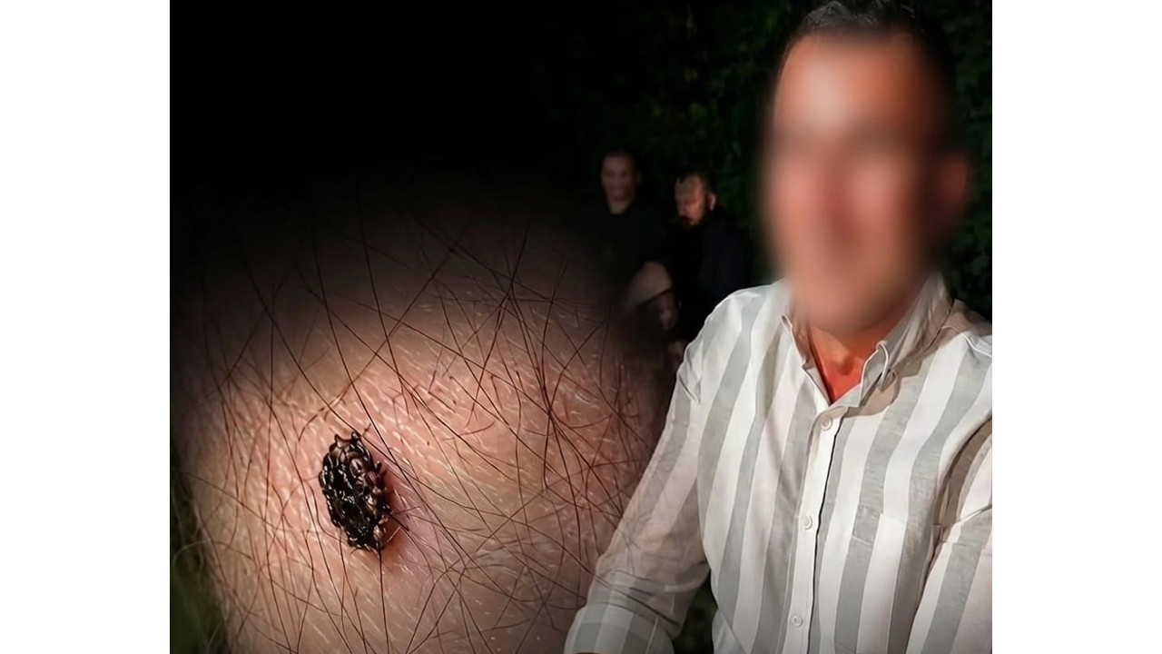 Bacağında keneyle söz kesti: ‘Törenden sonra besiye aldık’ dedik