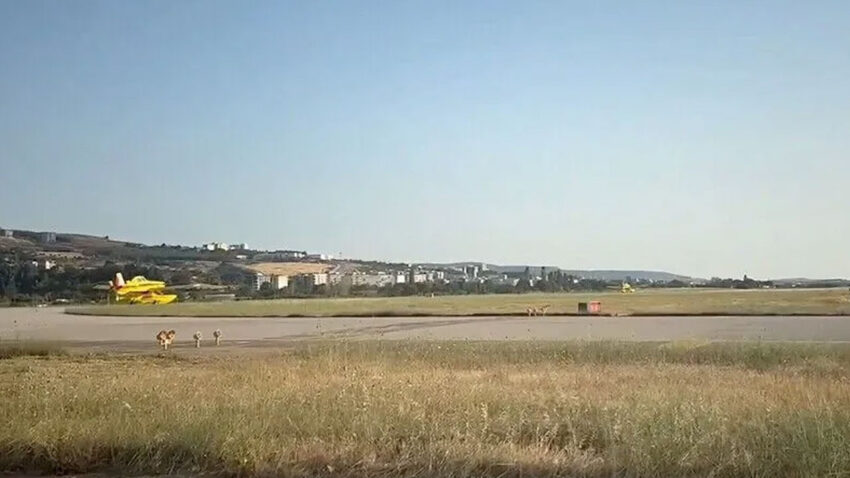 Bakan yumakli fransa icin iki yangin sondurme ucagi gorevlendirildi 6p9VEvGO.jpg