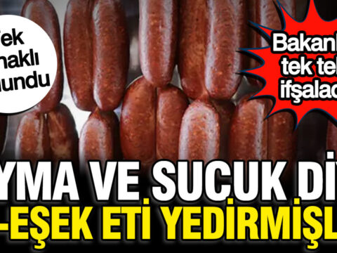 Bakanlik 3 firmayi ifsaladi sucuk ve kiyma diye at esek eti yedirmisler 4RdTuR3u.jpg