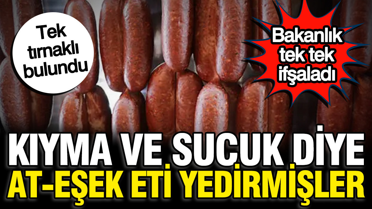 Bakanlık 3 firmayı ifşaladı: Sucuk ve kıyma diye at-eşek eti yedirmişler