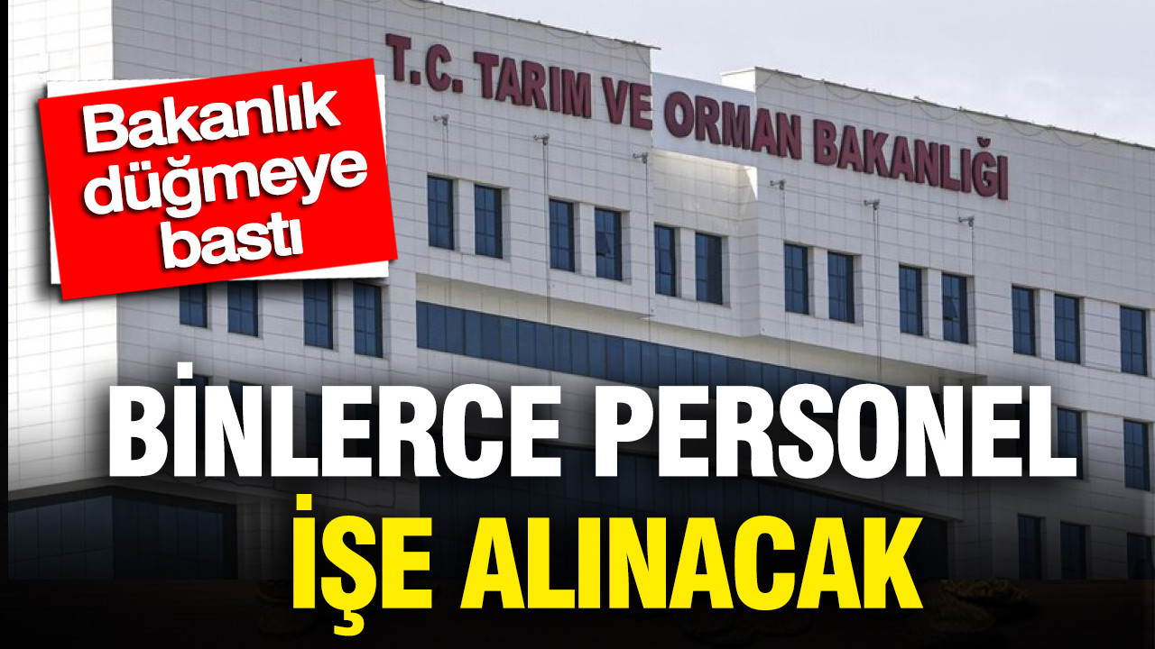 Bakanlık düğmeye bastı: Binlerce personel işe alınacak