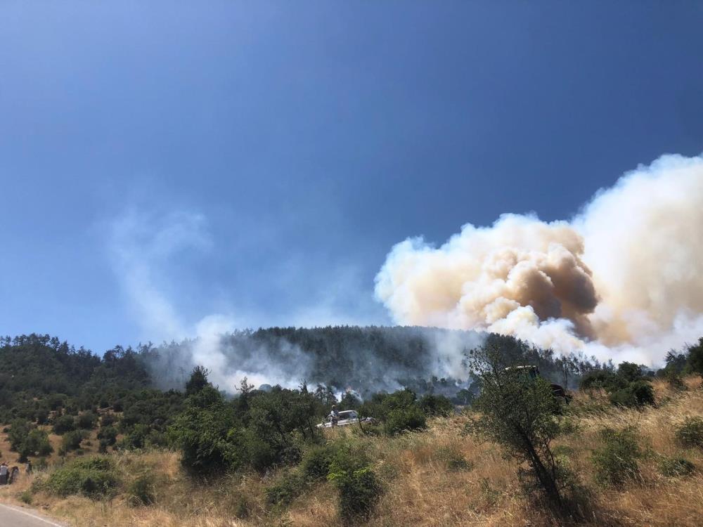 Balıkesir’de orman yangını