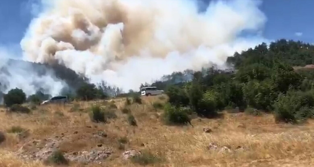Balıkesir’de orman yangını! Müdahale sürüyor