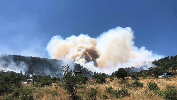 Balıkesir’de peş peşe orman yangını! 3 farklı noktada başladı