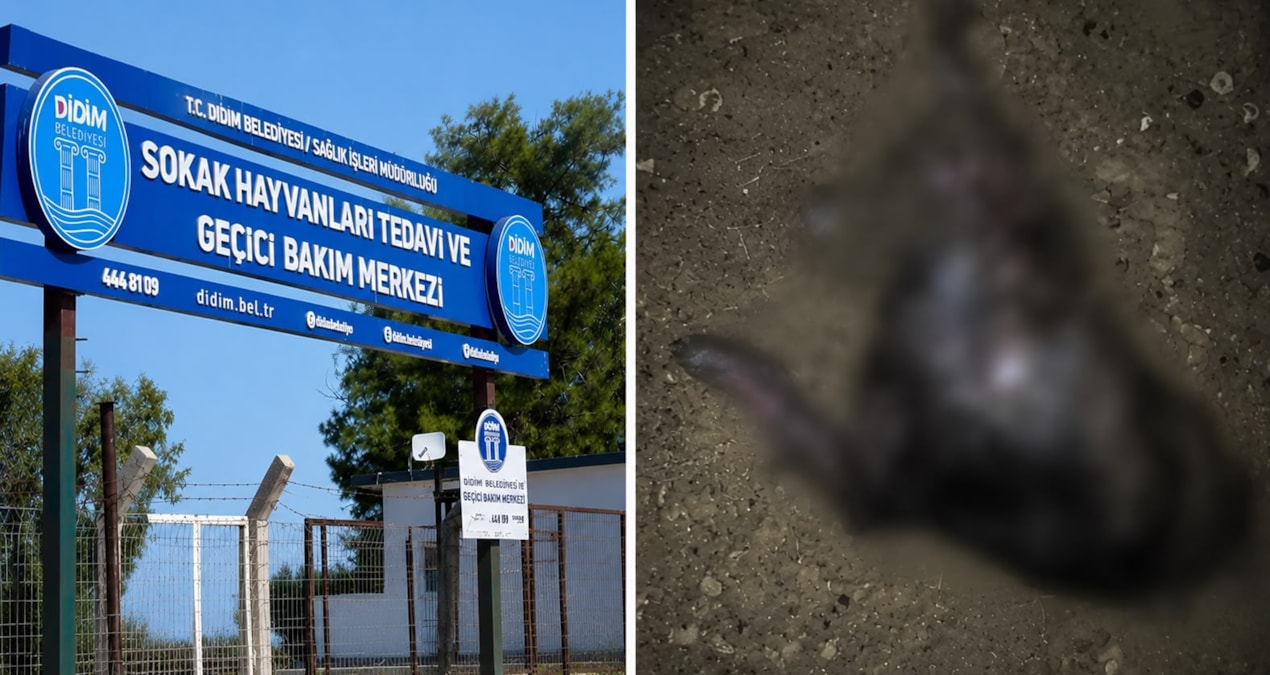 Barinakta skandal iddia HO3BnIQL.jpg