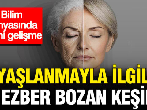 Bilim dunyasinda tarihi gelisme yaslanmayla ilgili ezber bozan kesif JweOOwXp.jpg