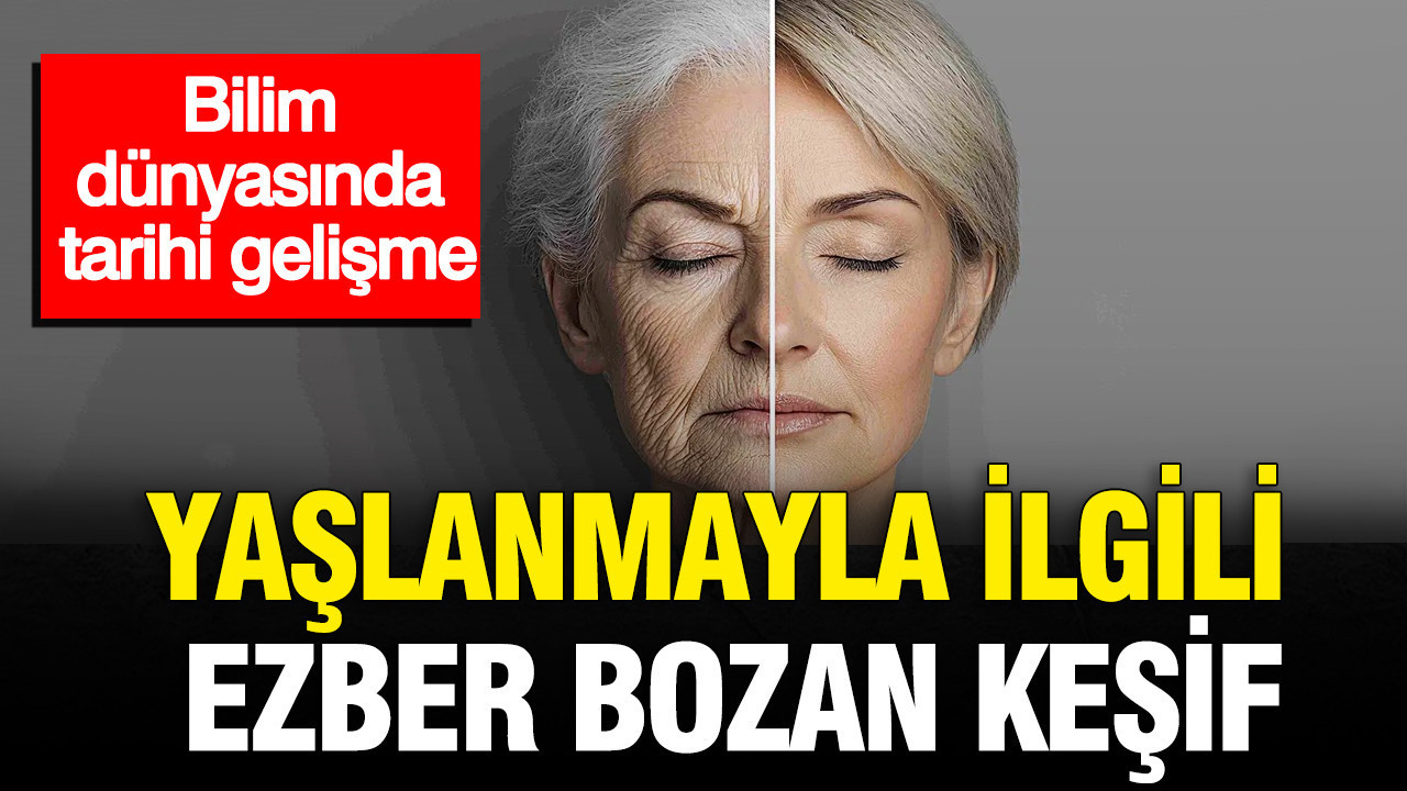 Bilim dunyasinda tarihi gelisme yaslanmayla ilgili ezber bozan kesif JweOOwXp.jpg