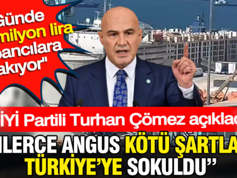 Binlerce angus kotu sartlarda turkiyeye sokuldu gunde 300 milyon lira yabancilara akiyor GUMEEcJa.jpg