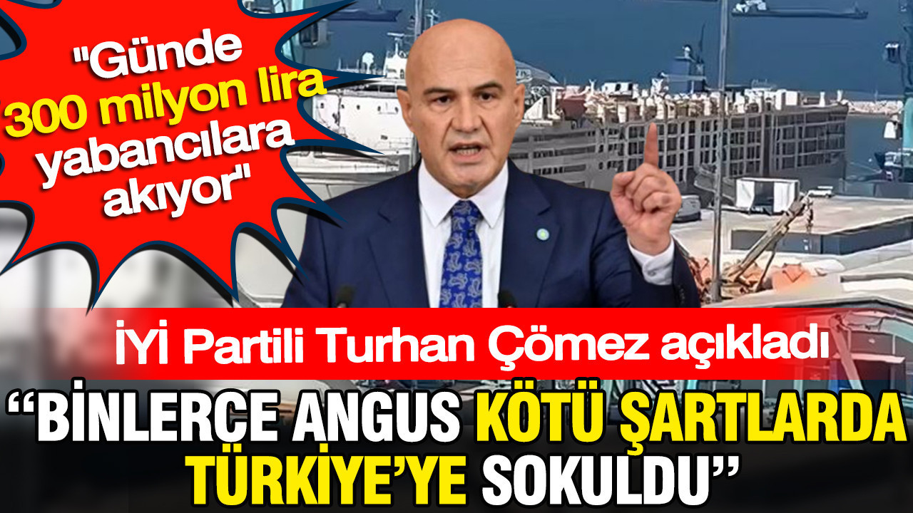 Binlerce angus kötü şartlarda Türkiye’ye sokuldu: Günde 300 milyon lira yabancılara akıyor