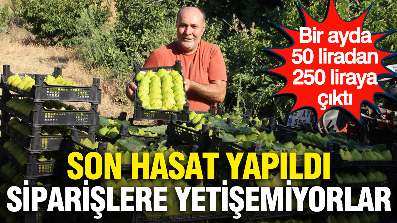 Bir ayda 50 liradan 250 liraya çıktı: Son hasat yapıldı, siparişlere yetişemiyorlar