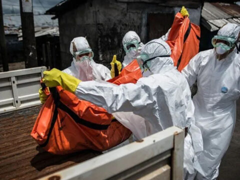 Bm acikladi ebola salgininin faturasi milyarlari buldu wS71leb3.jpg