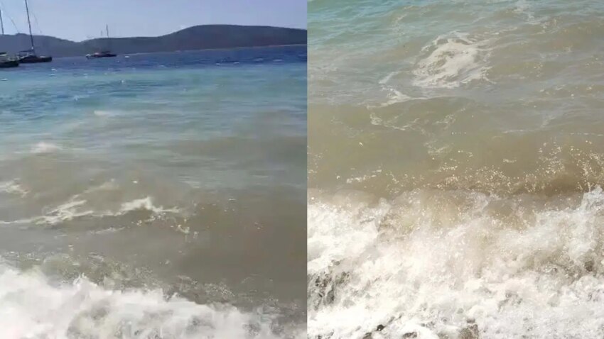 Bodrumda deniz kirliligi sorusturma baslatildi NIGNAvEk.jpg
