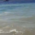 Bodrumda denizin kirletilmesine iliskin sorusturma baslatildi e8Bsilqr.png