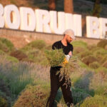 Bodrumda gencler topraga dokundu tarim kampinin 2 etabi tamamlandi WfYhWj8T.jpg