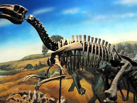 Boyu 20 metreye kadar cikabiliyor taylandda yeni dinozor turu kesfedildi 6w7GQ3bU.jpg