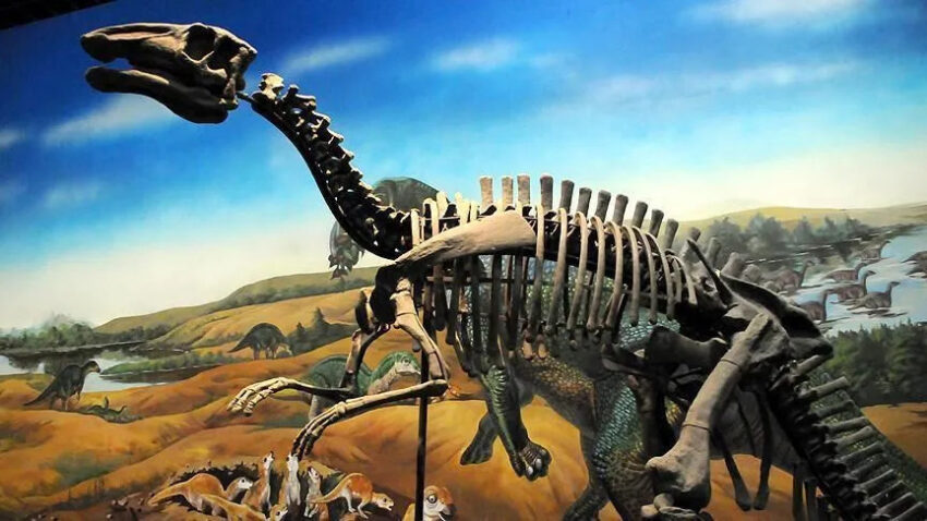 Boyu 20 metreye kadar cikabiliyor taylandda yeni dinozor turu kesfedildi 6w7GQ3bU.jpg