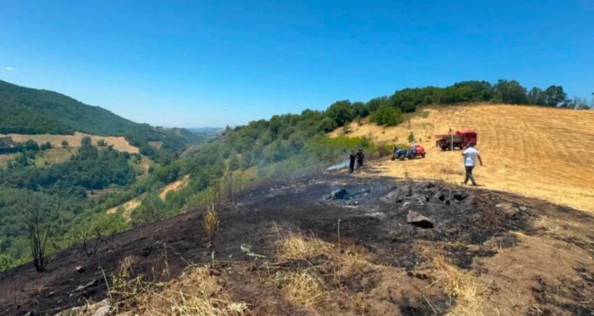 Bursada aniz yangini ormana sicradi 9fwIRena.jpg