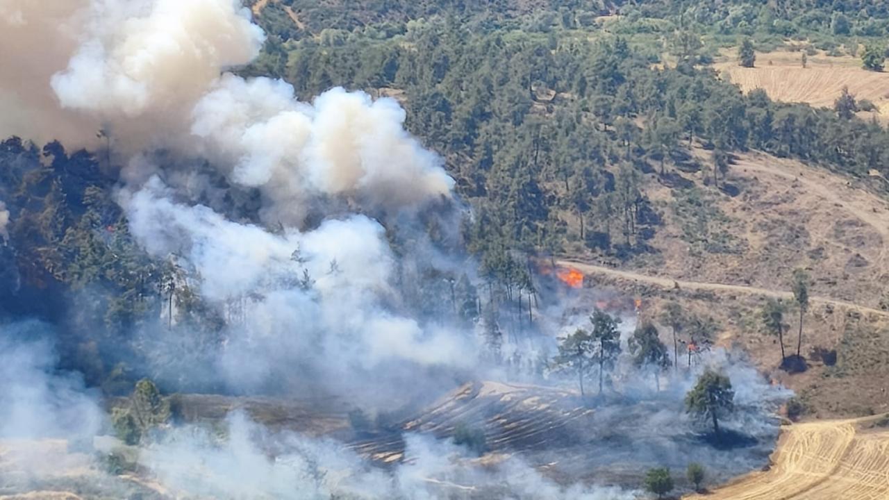 Bursada kritik saatler tarim arazisindeki yangin ormana sicradi iQ5V4GTv.jpg