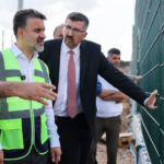 Bursada sokak hayvanlari icin dogal yasam alani hQZi4Kbp.webp