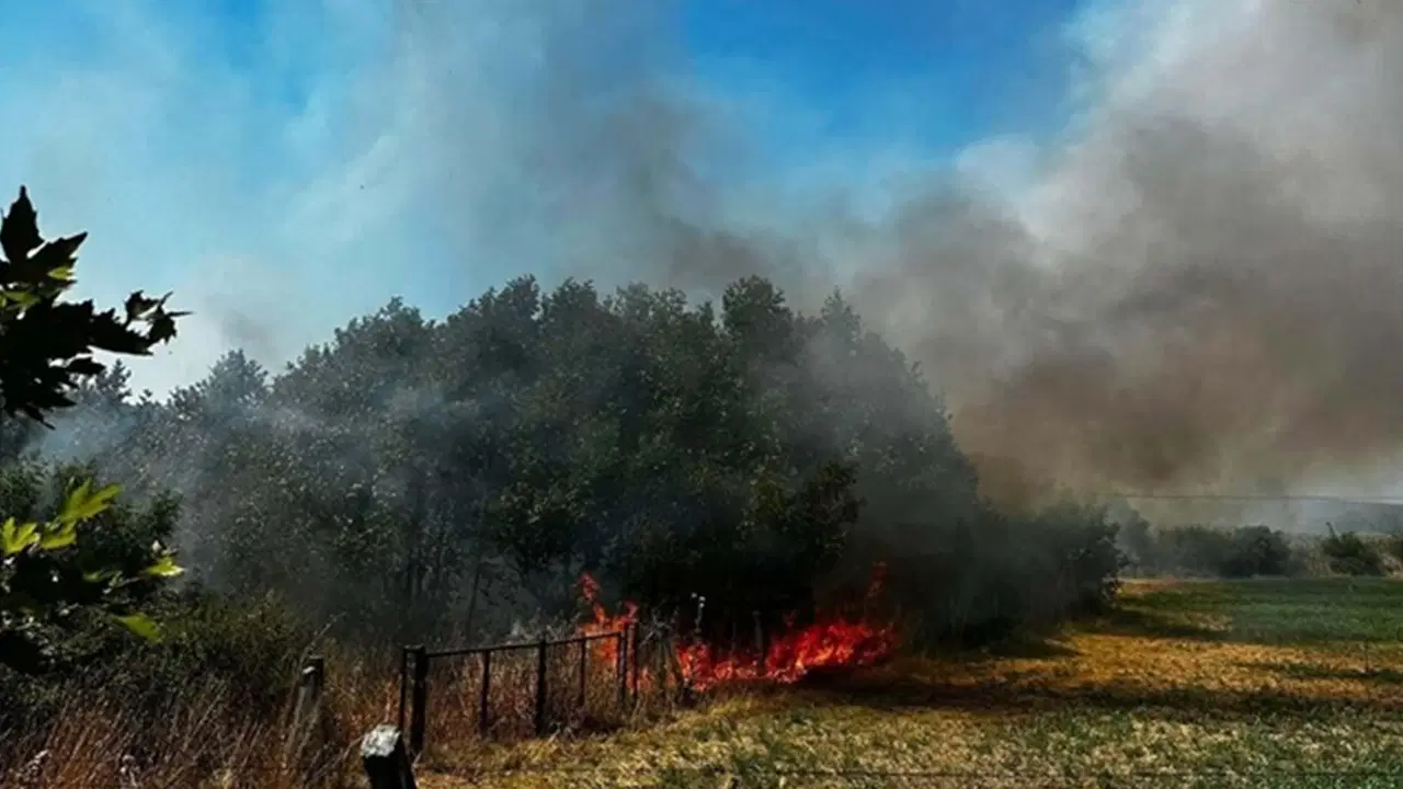 Çanakkale’de ot yangını: 1 saatte kontrol altına alındı