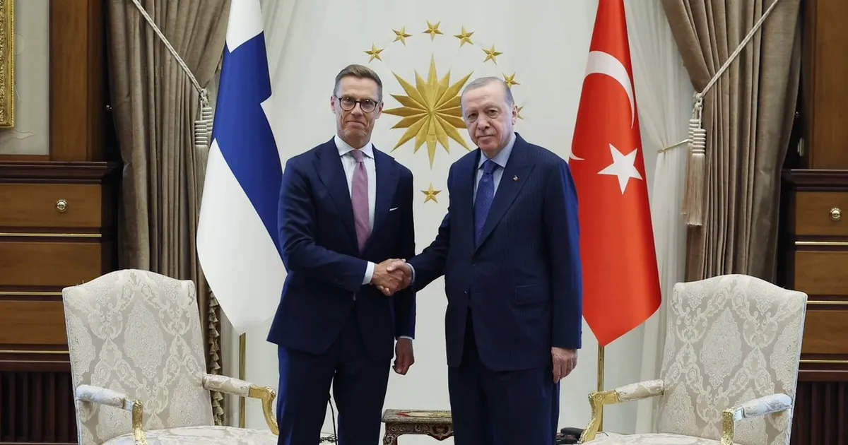 Cumhurbaşkanı Erdoğan, Finlandiya Cumhurbaşkanı Stubb ile görüştü