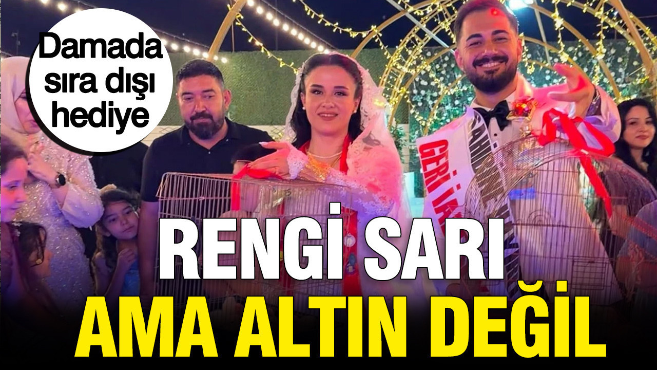 Damada sıra dışı hediye: Rengi sarı ama altın değil