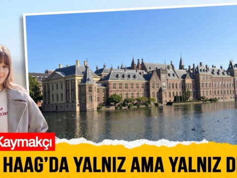Den haagda yalniz ama yalniz degil 64G8MYeK.jpg