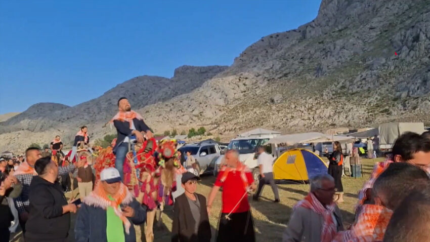 Develer gecti turkuler soylendi gazipasada yayla senligi basladi xqcxzxfi.jpg